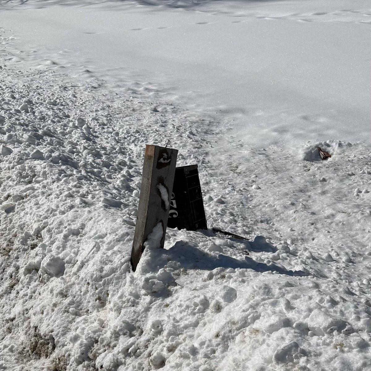 Maine Basketball Rankings tweet media