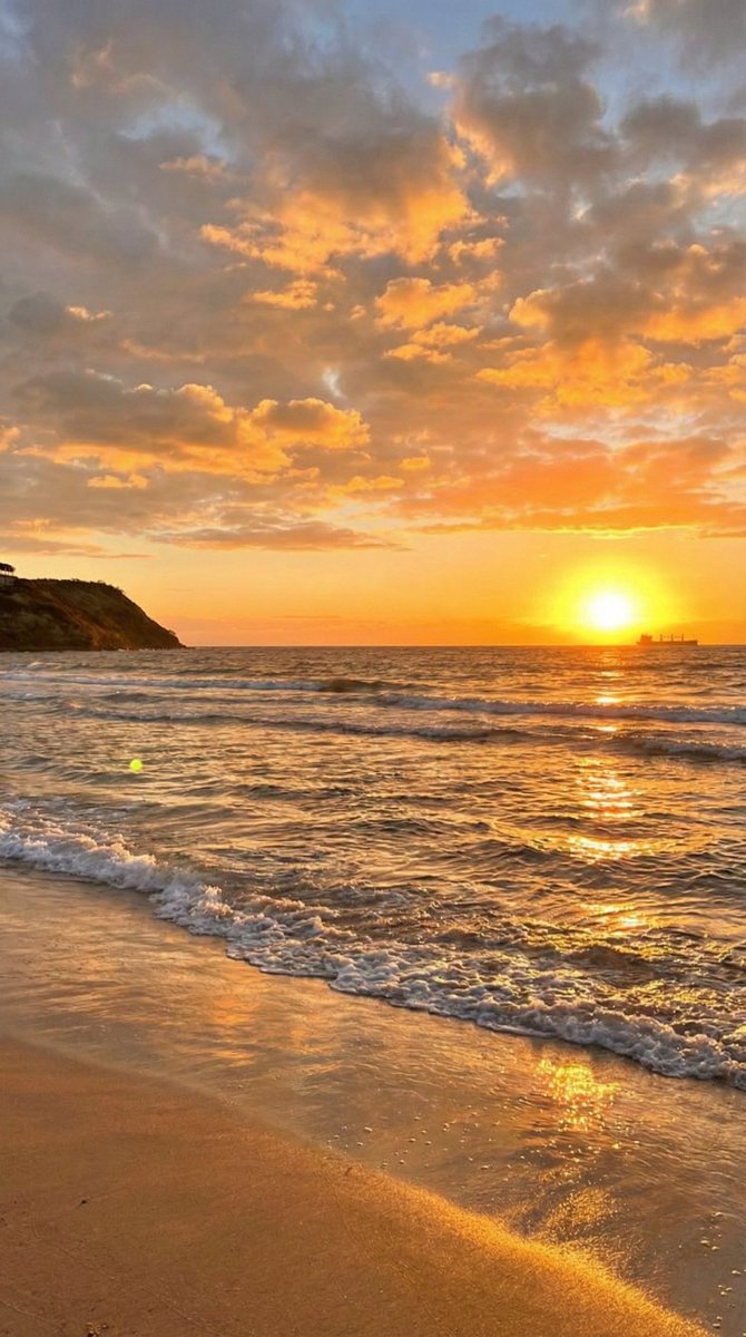 Saavni Srivastva 🍁 tweet media