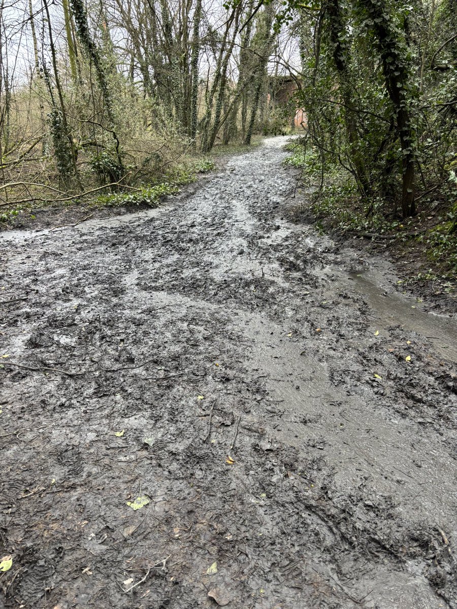 Steve Richards tweet media