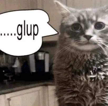 911servis tweet media