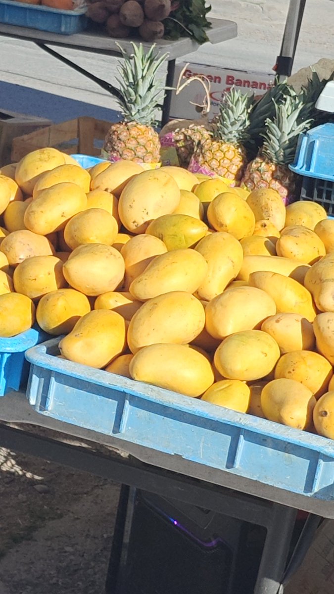 Padre Santo tweet media