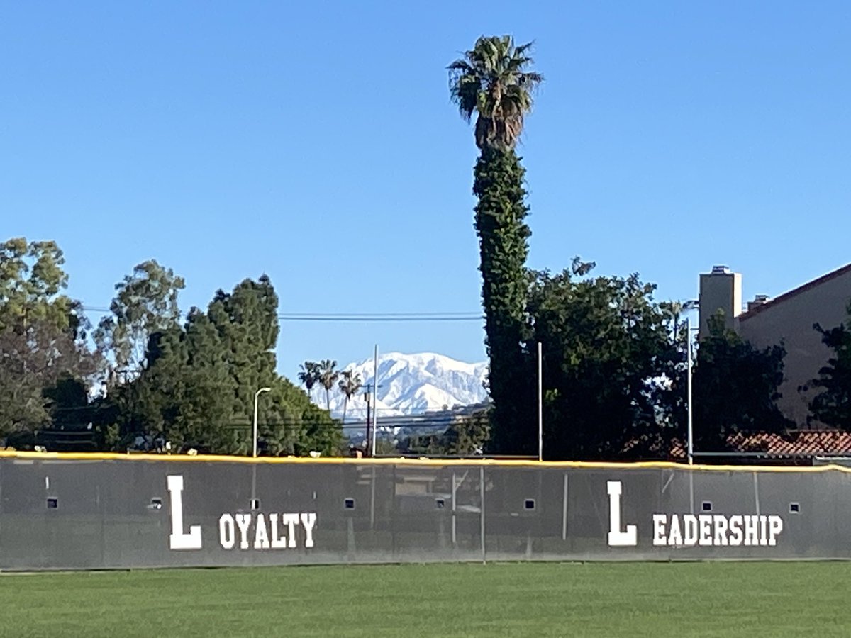 Tim Whyte tweet media