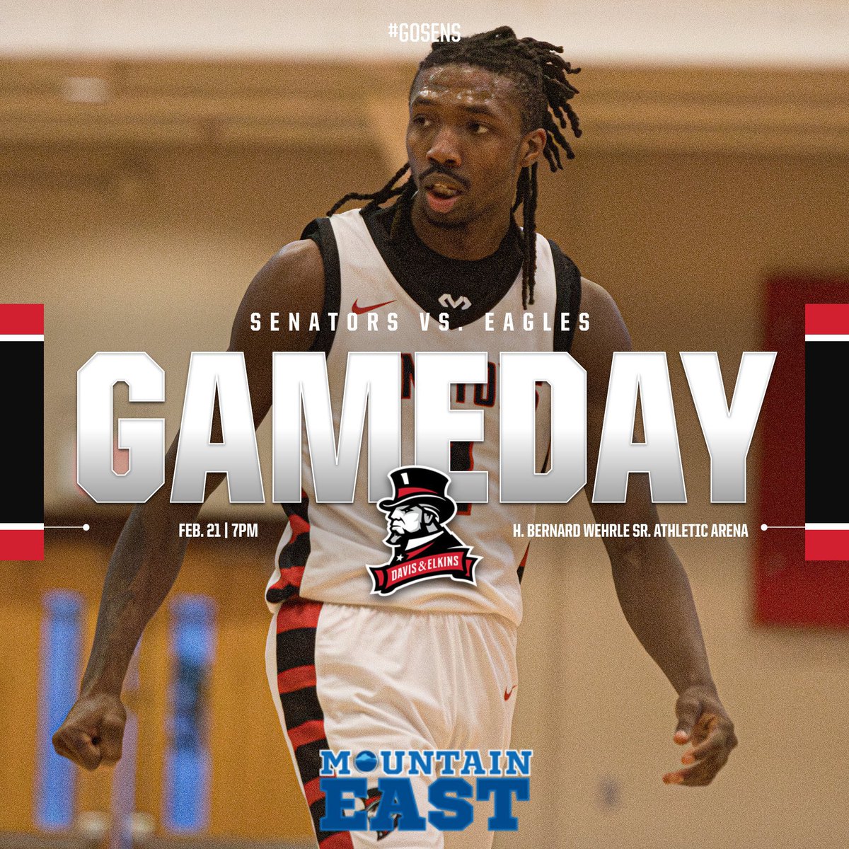 Davis & Elkins Men's Basketball tweet media