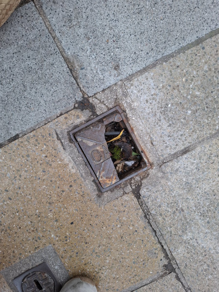 Sue Wixley 🔶️ 🧡 tweet media