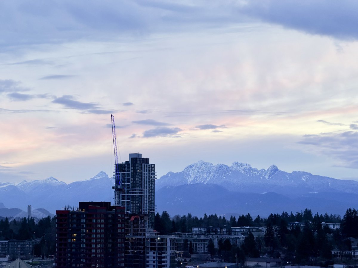 𝐀𝐏 tweet media