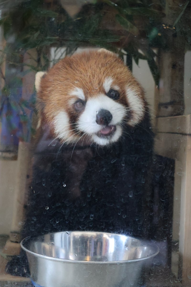 よしみん (@mg7rf_wym) / Posts / X