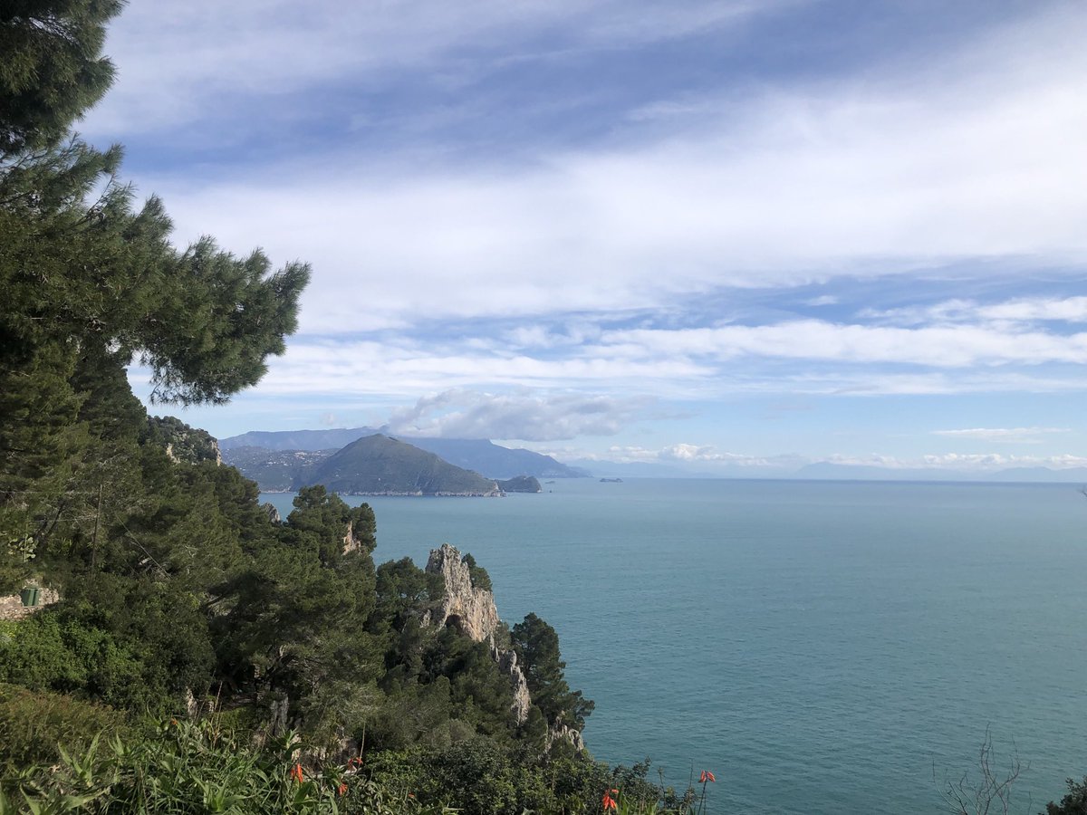 Vanessa is listening tweet media