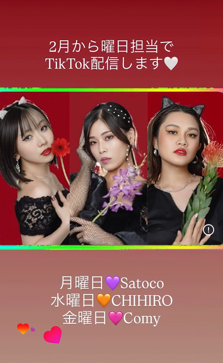 CRAZY CATZ 💫🐈‍⬛ tweet media