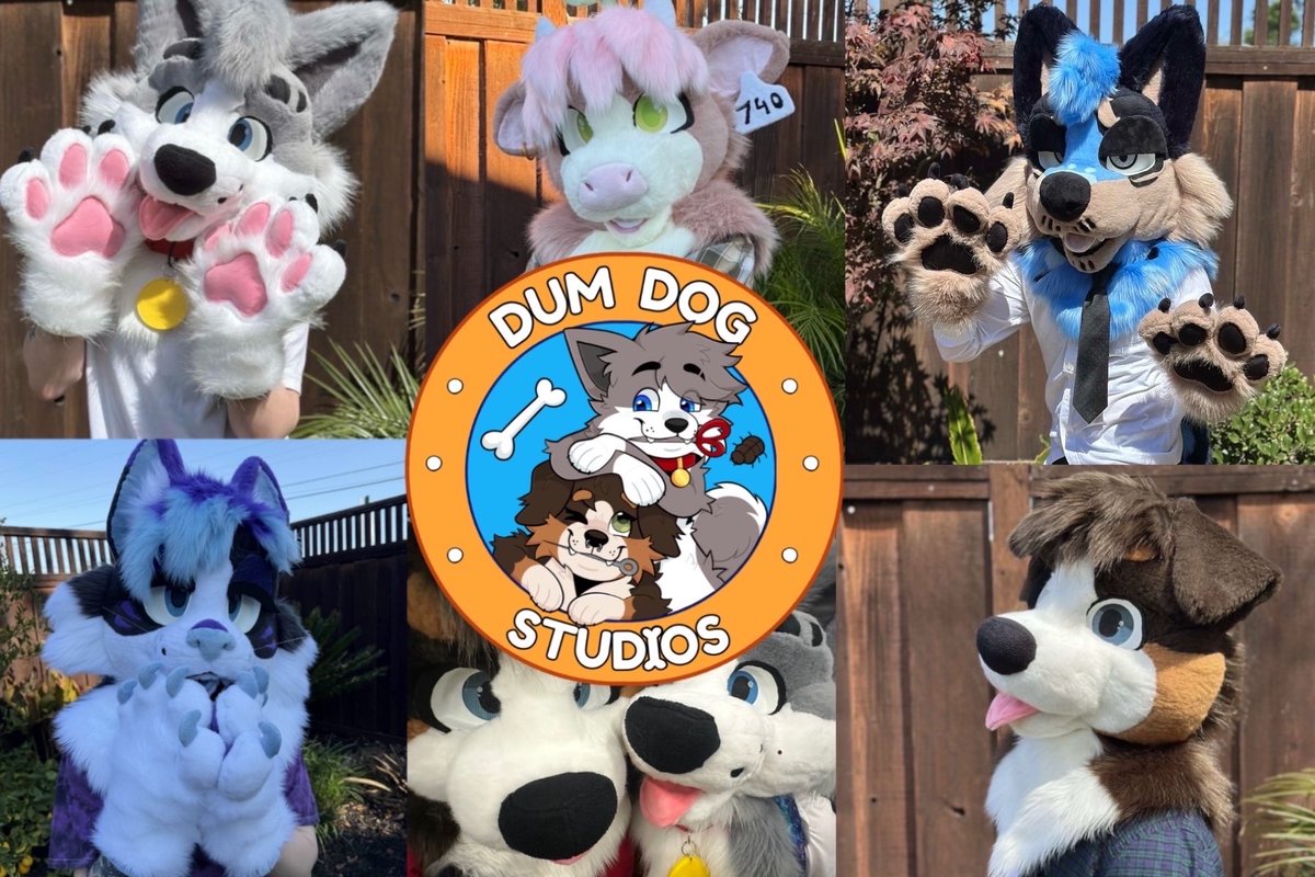Dum Dog Studios tweet media