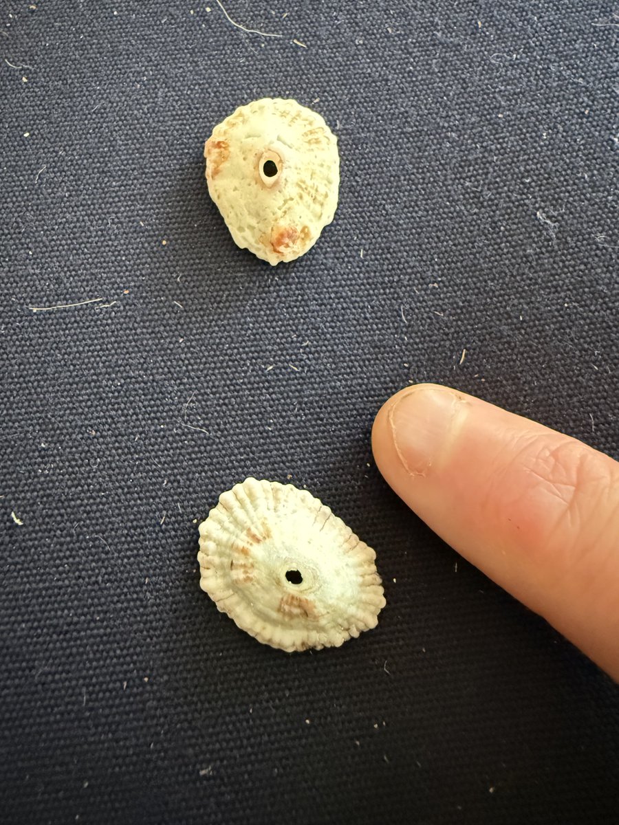 Dr. Douglas De Couto, MP tweet media