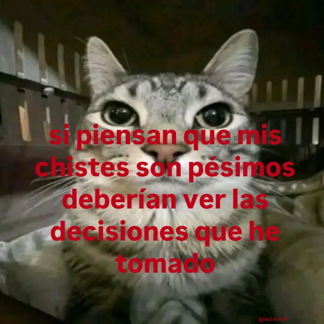 Ojos color sol (@ojoscol0rsol) on Twitter photo 