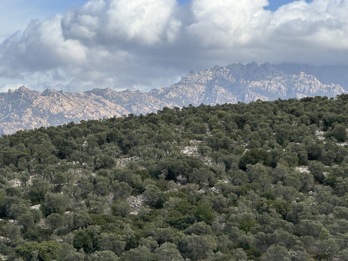 Bülent ışık. Bodrum (@blentisk2) on Twitter photo 