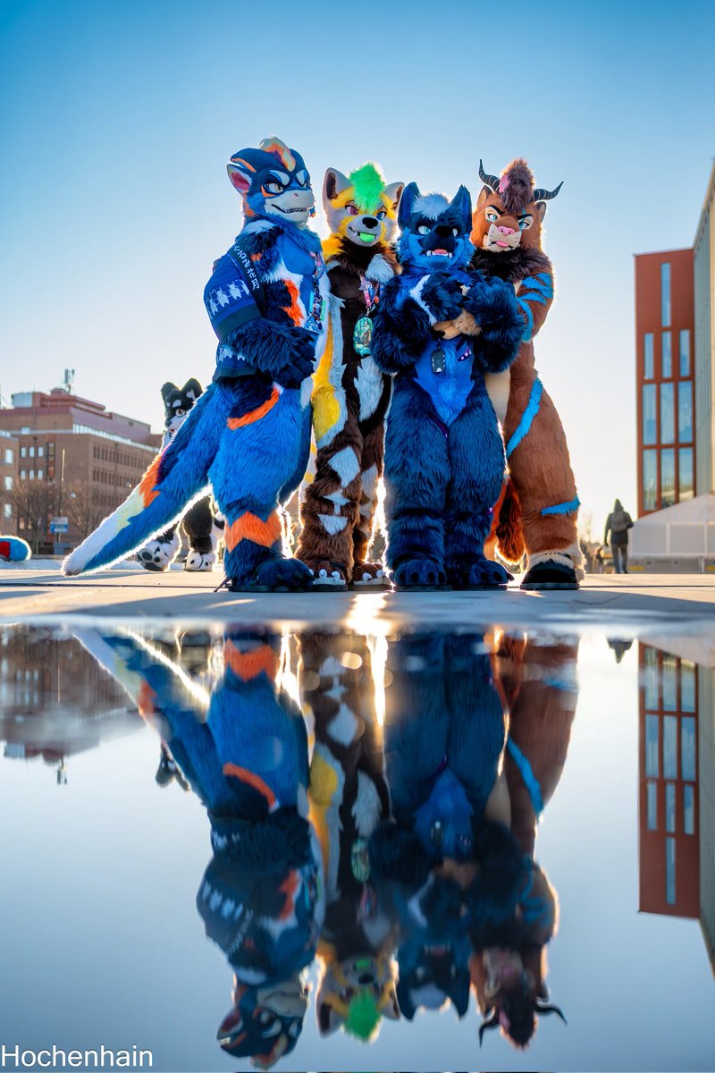 ☀️🐉Teryx 🔜 Thaitails tweet media