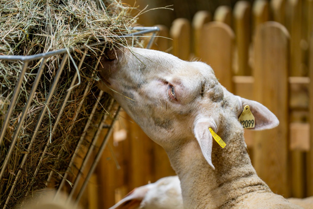Département de l'Essonne tweet media