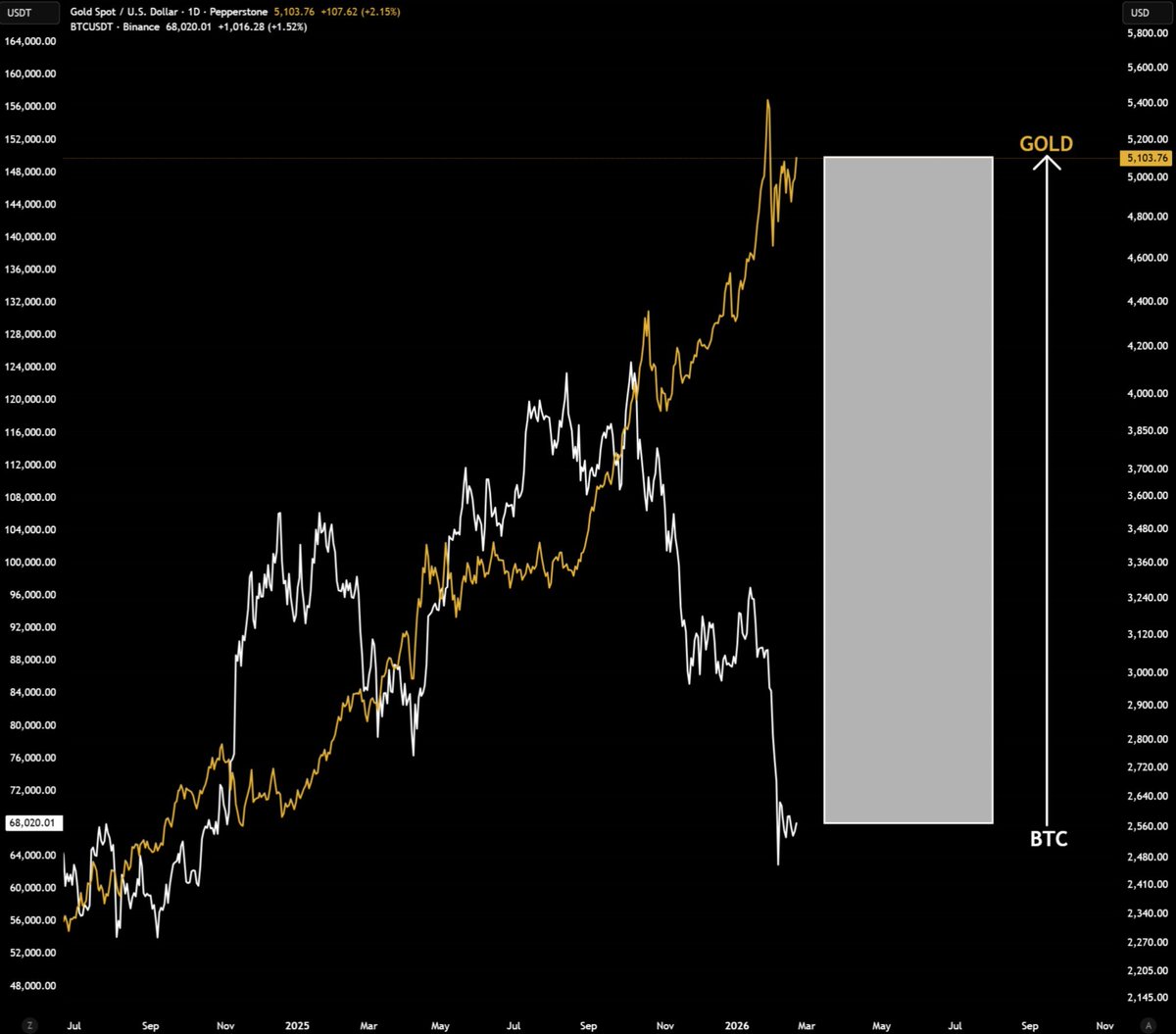 Arjantit tweet media