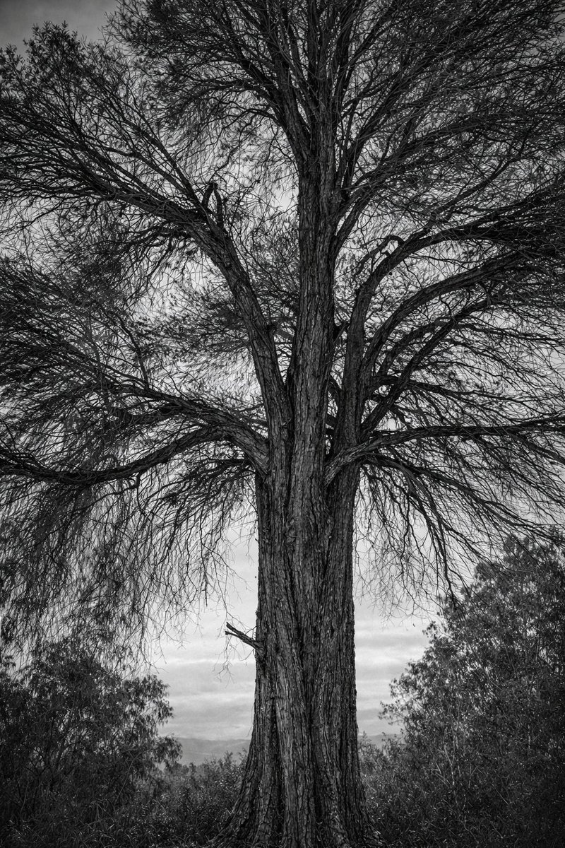 Havenlust's tweet photo. Quiet Matter https://t.co/J4bwe5pvVs