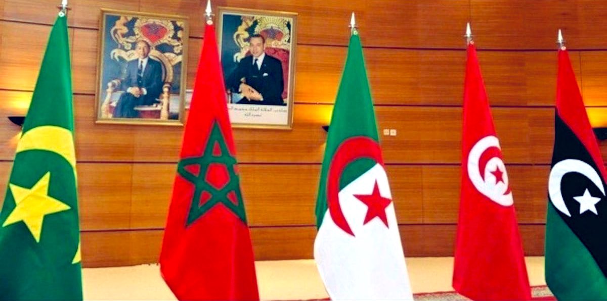 وليد كبير Oualid KEBIR🇩🇿 tweet media