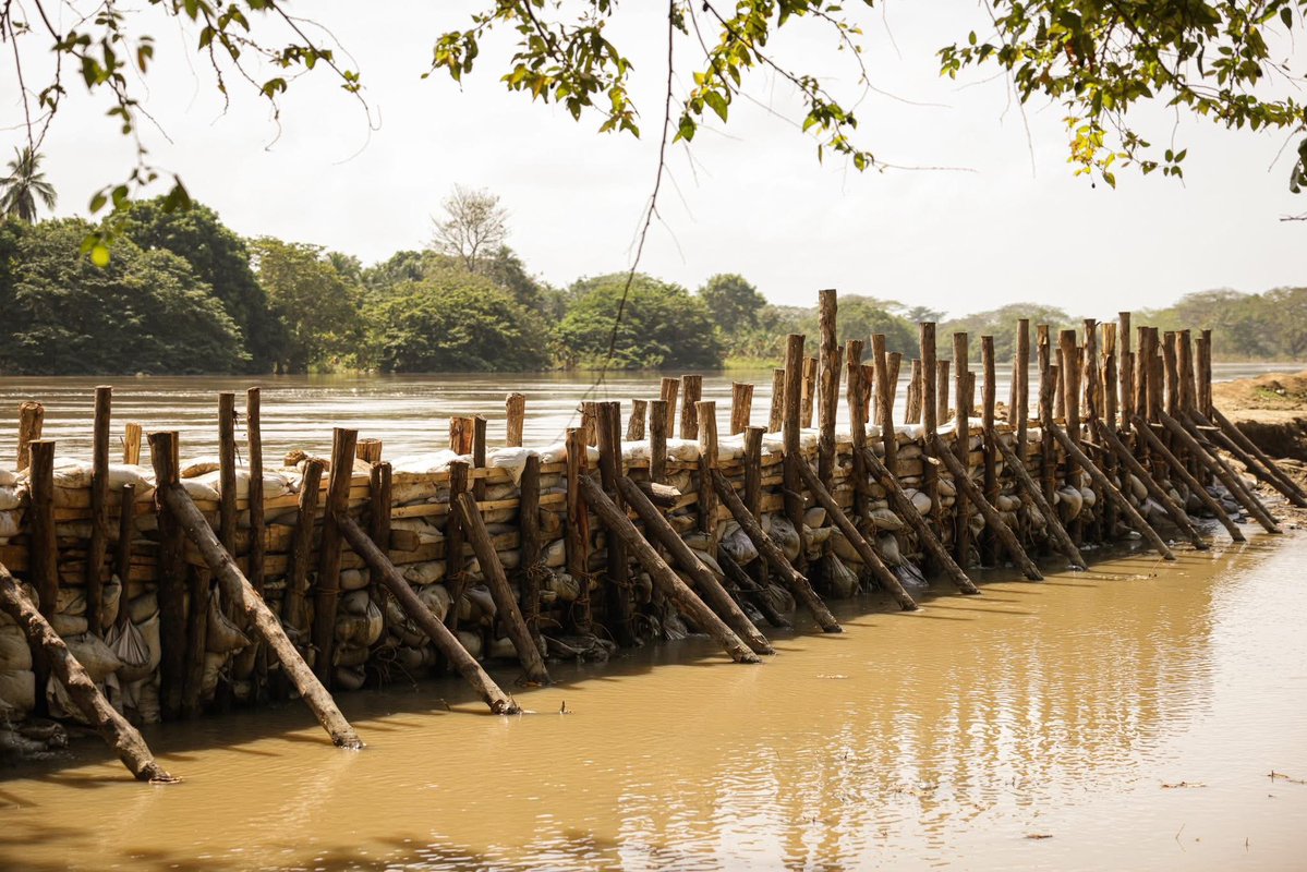Desde el aire y el agua, así se ve la magnitud del boquete va Colombia, en Cotocá Arriba, #Lorica que río Sinú rompió. Decenas de voluntarios trabajan a punta de agua de panela y tabaco para controlar con tablestacado y bolsas con balasto el punto crítico de la emergencia 🆘