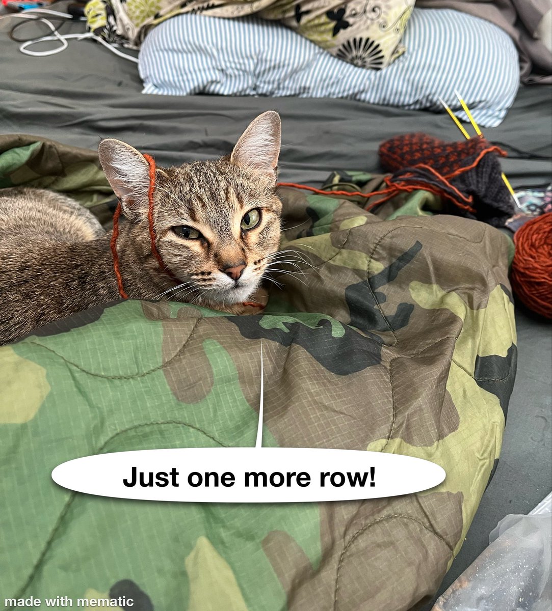 Dragonfly Wind (2277,505) tweet media