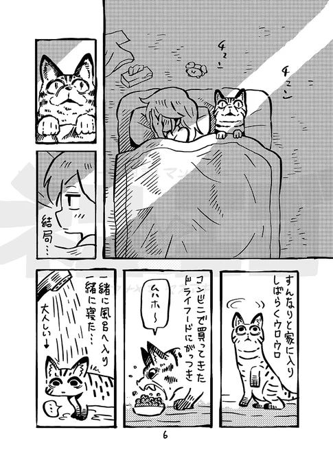 ネコとエゴ(3/10) 