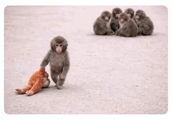 If the tribe doesn’t match your vibe…

Keep walking.