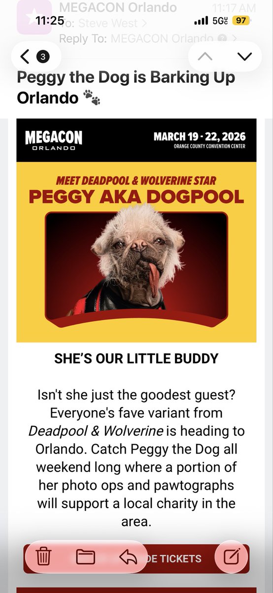 airborne8890's tweet image. The VIP of @MegaConOrlando! Anyone else attending? 

#dogpool #deadpoolandwolverine #megaconorlando @Marvel  @deadpoolmovie #marvel #CHC #CollectorsHelpingCollectors