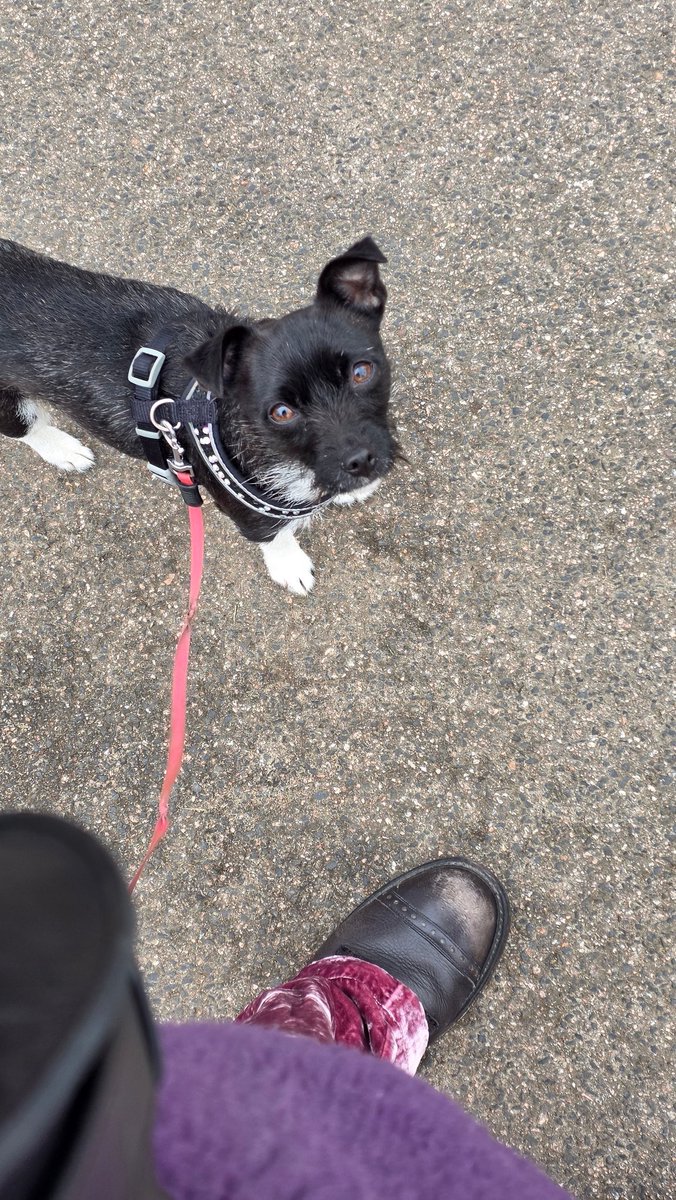 #Wearม่วงวนไป