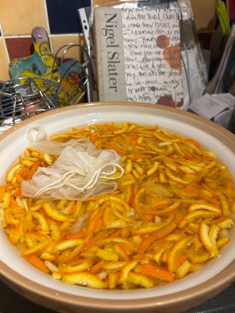 Jane Sarah Matthews tweet media