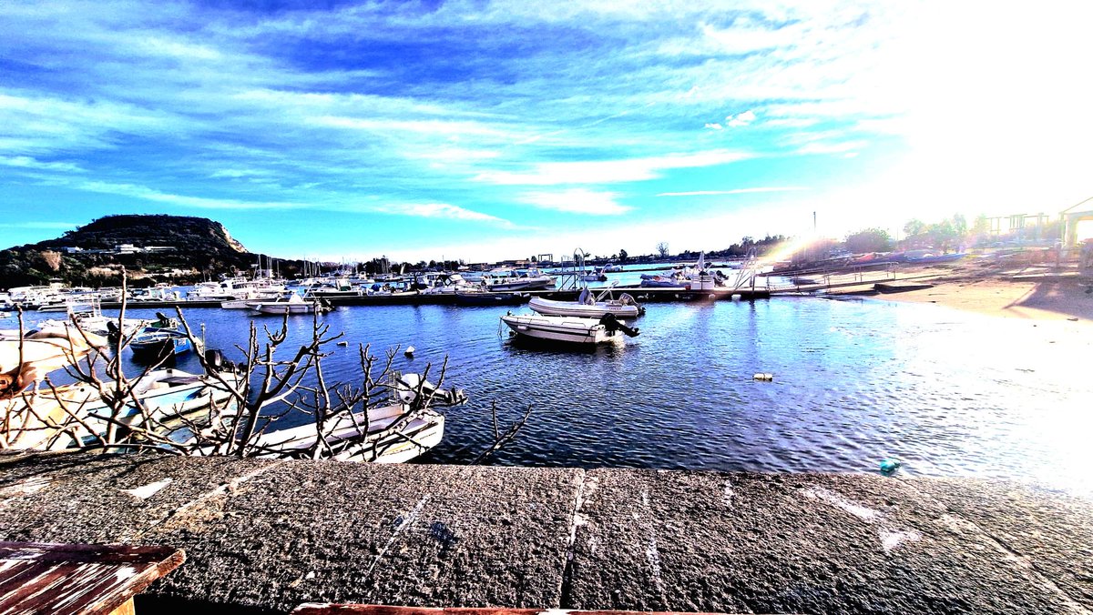 Simon Pietro Romano tweet media