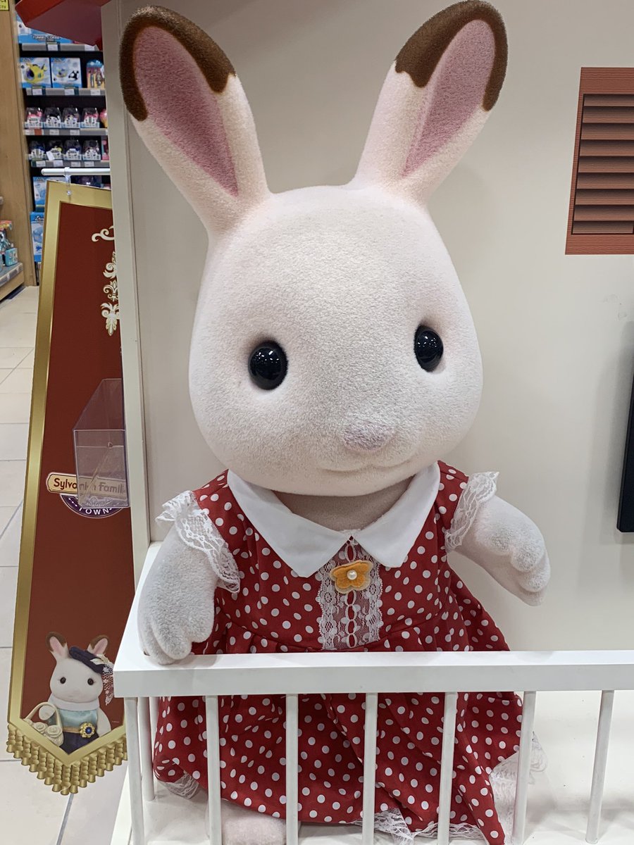 grosse battle de regards