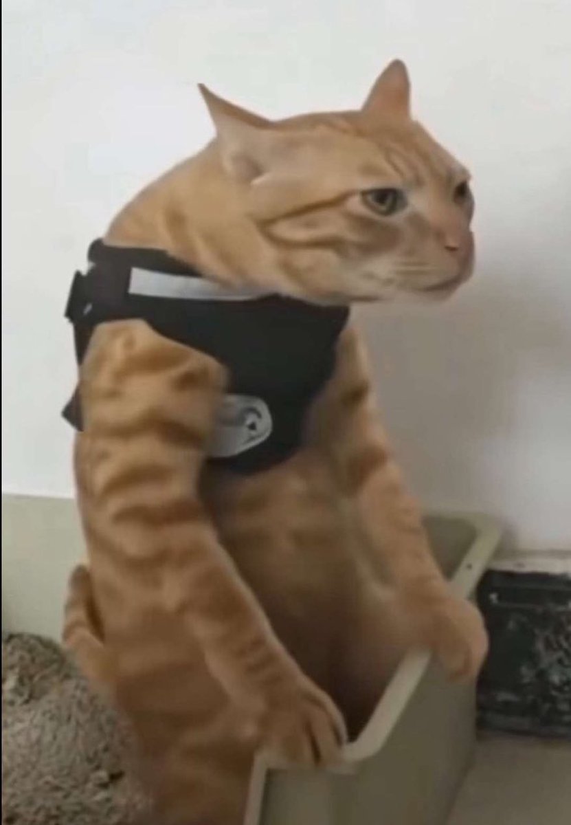 Fin du match 1-1 

Vos impressions ? 

#CHEBUR #LiveChelseaFrance