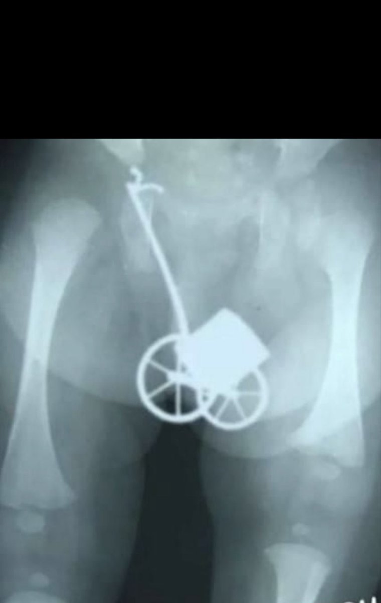 shay livingstone tweet media