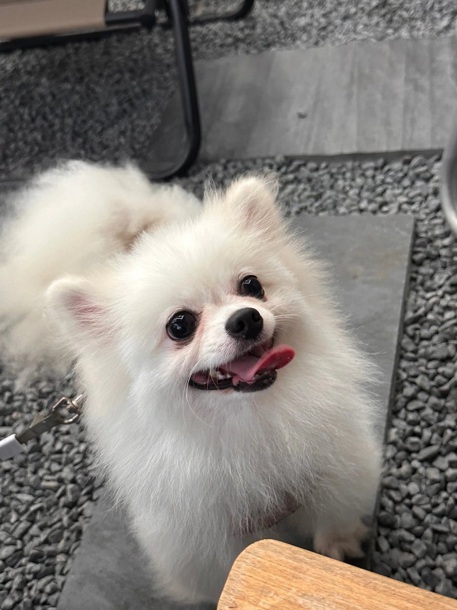 nurie_ruby's tweet image. 何か面白いことが起きているように見えますか?