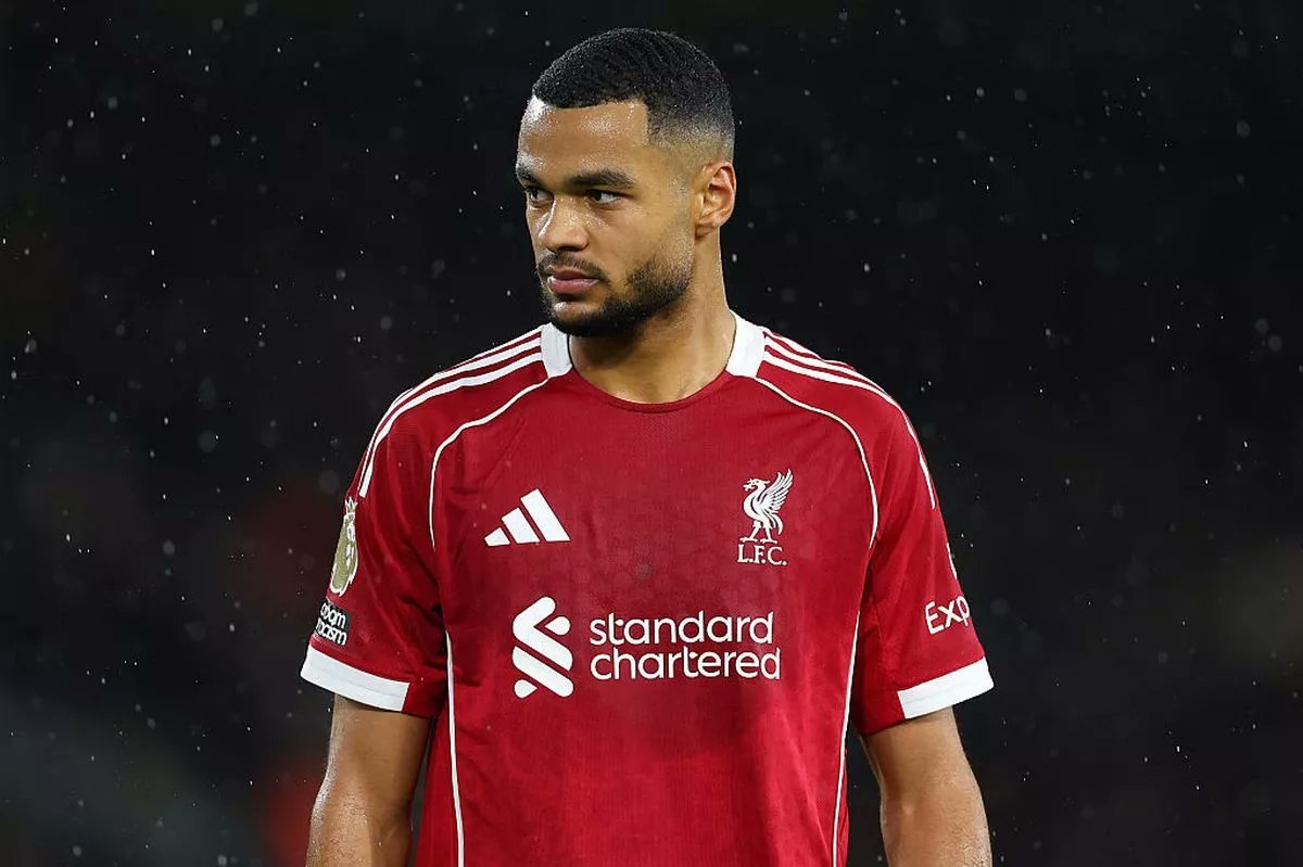 سليمان الخيبري| tweet media