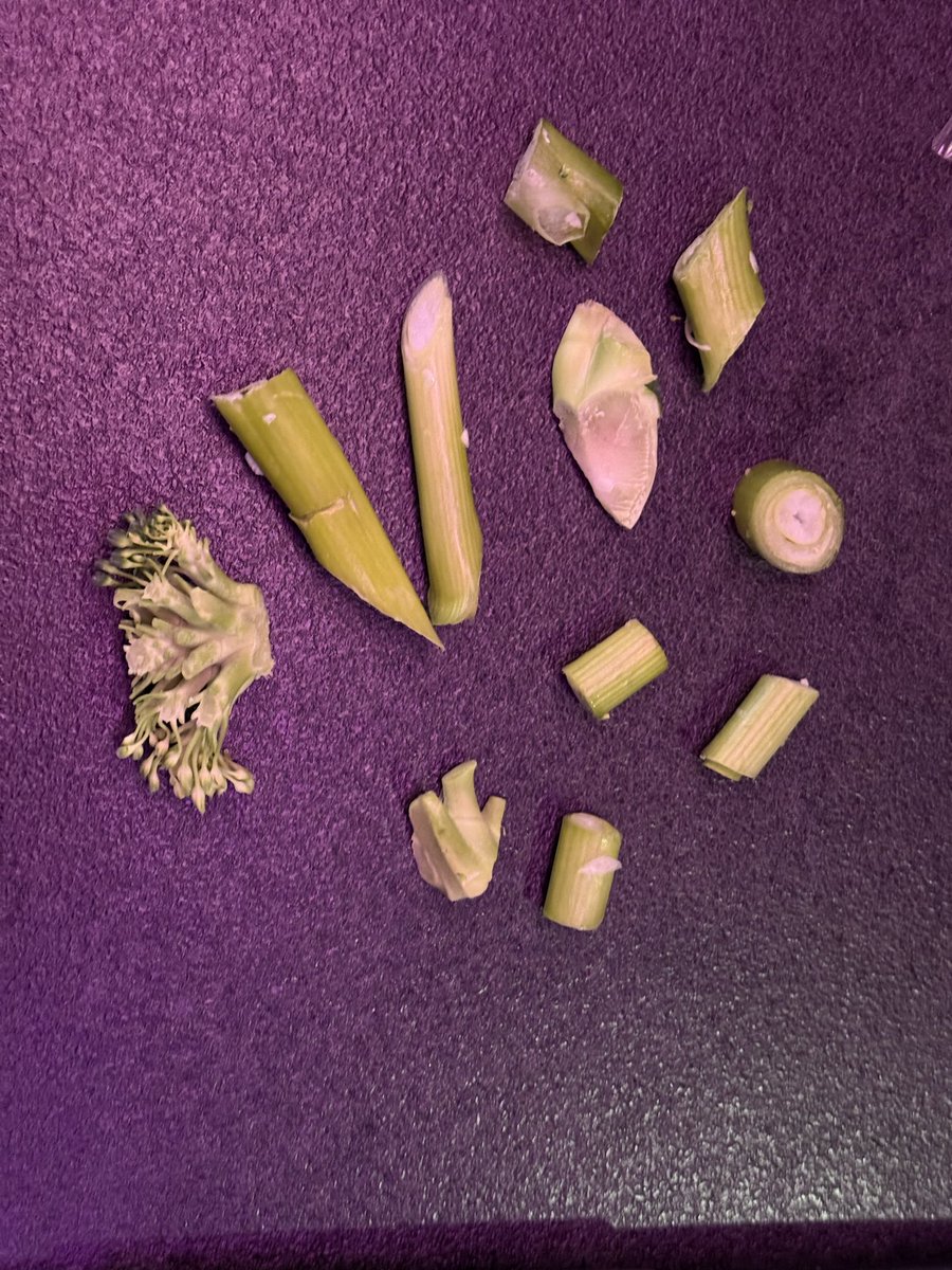 FerryGoodYesh tweet media