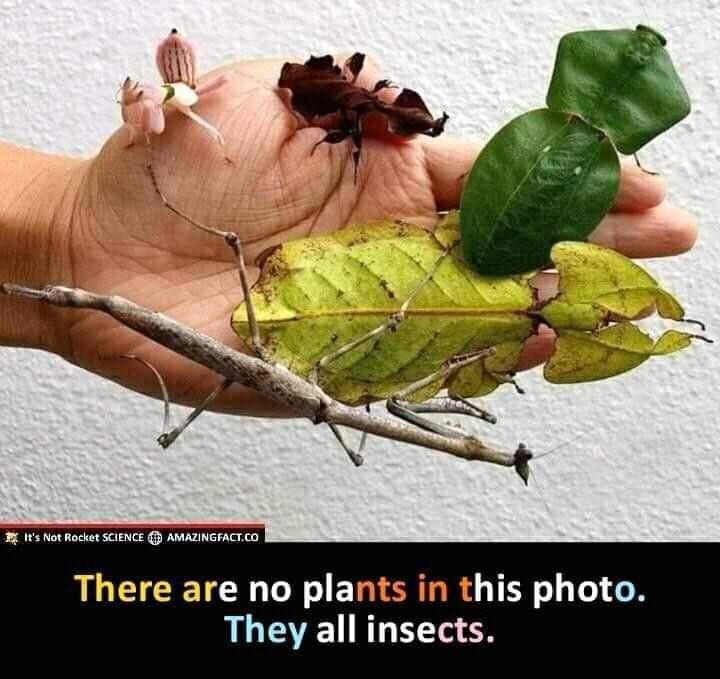 AmazingNature00's tweet photo. https://t.co/E9iVh6h3kX