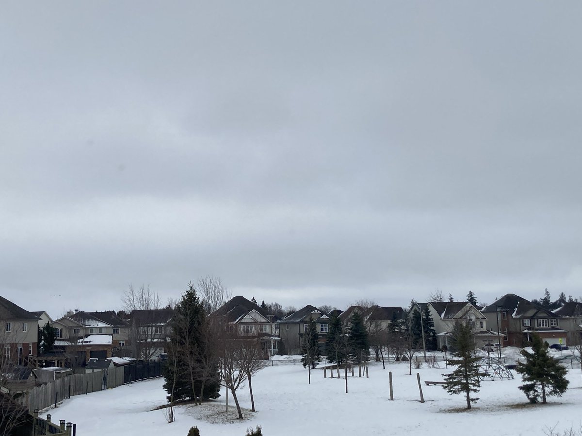 Adamental Politics tweet media