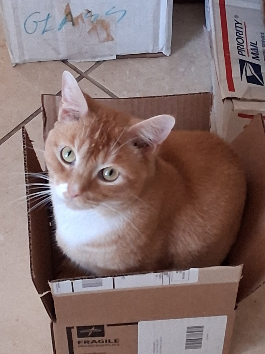 DRievman's tweet image. 