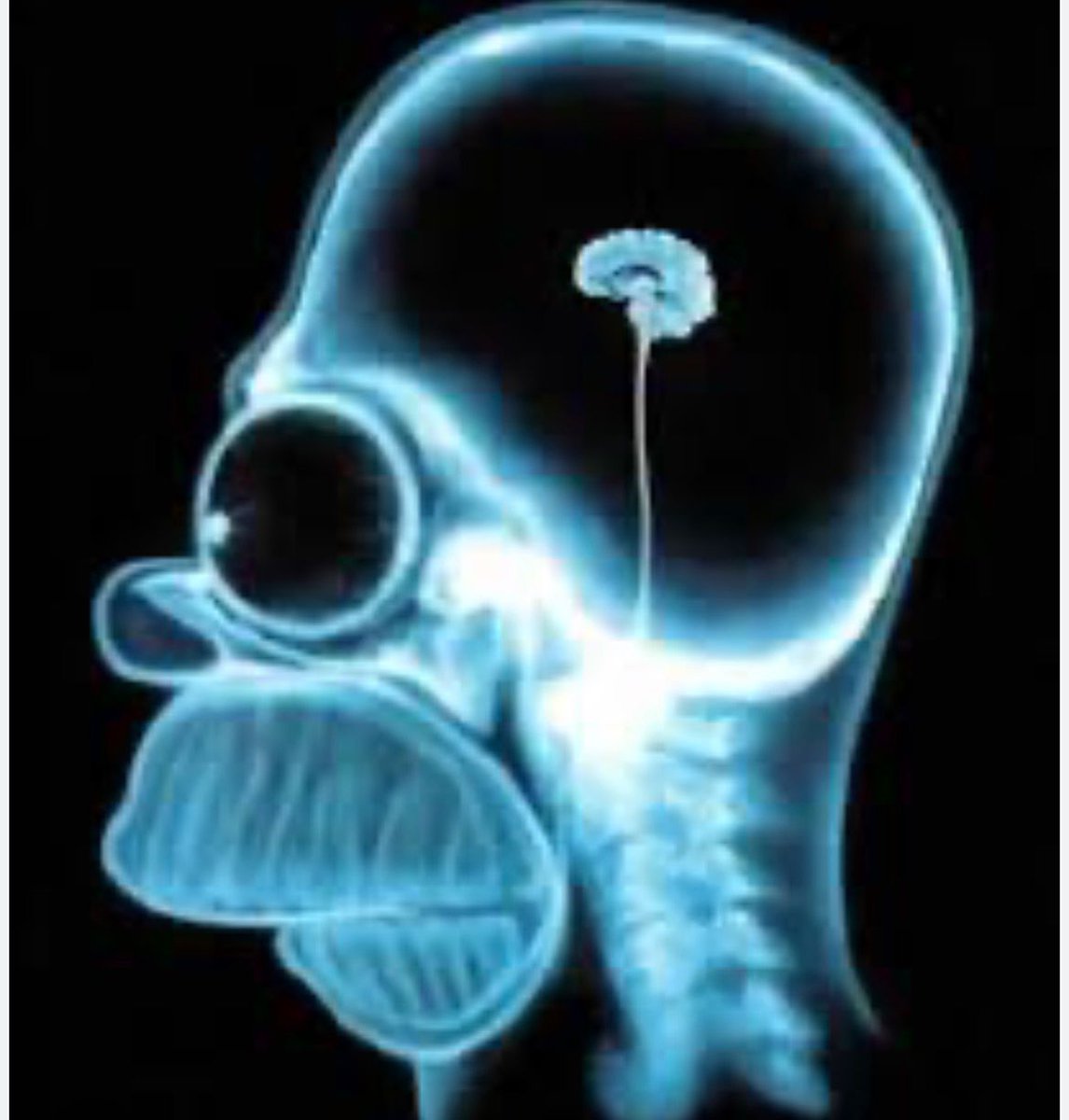 Maxencia🐢 souverainiste gauche🇫🇷🇵🇸! tweet media