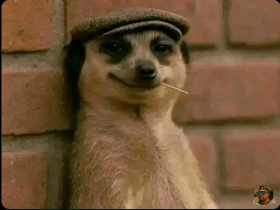 Ever tried faking Bankruptcy to see what you are Dating?