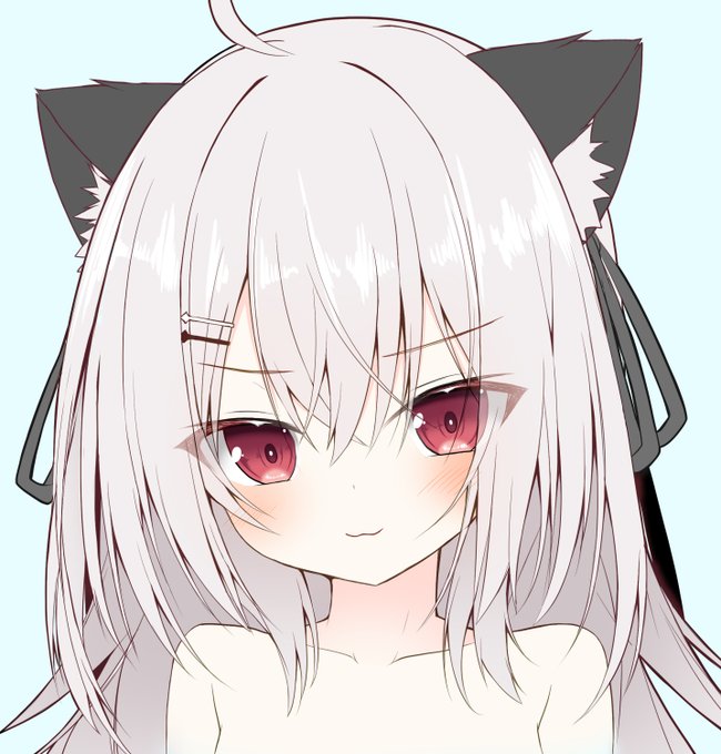 これは猫の日だし再掲するかーとメディア欄漁ったら、上げてなかった差分の領国つかにゃん 