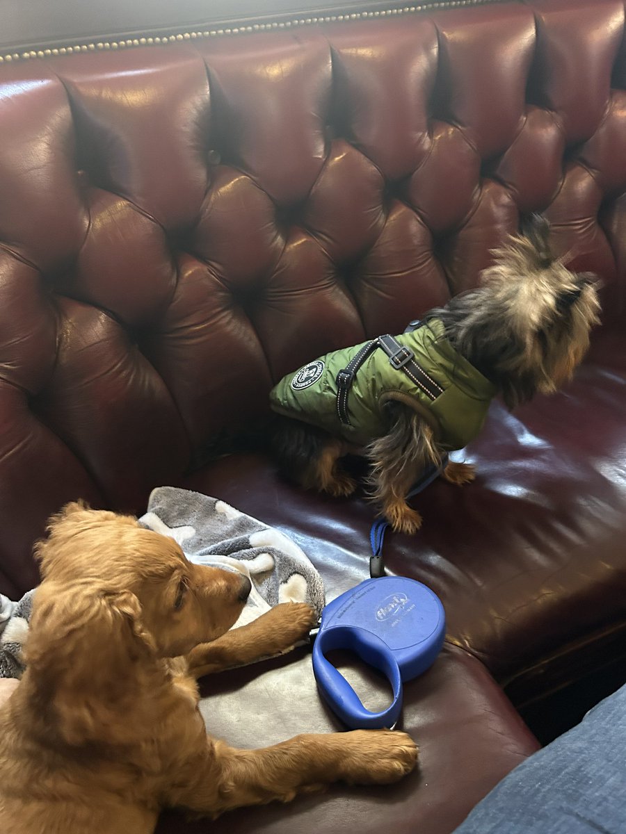 Scott Morgan tweet media