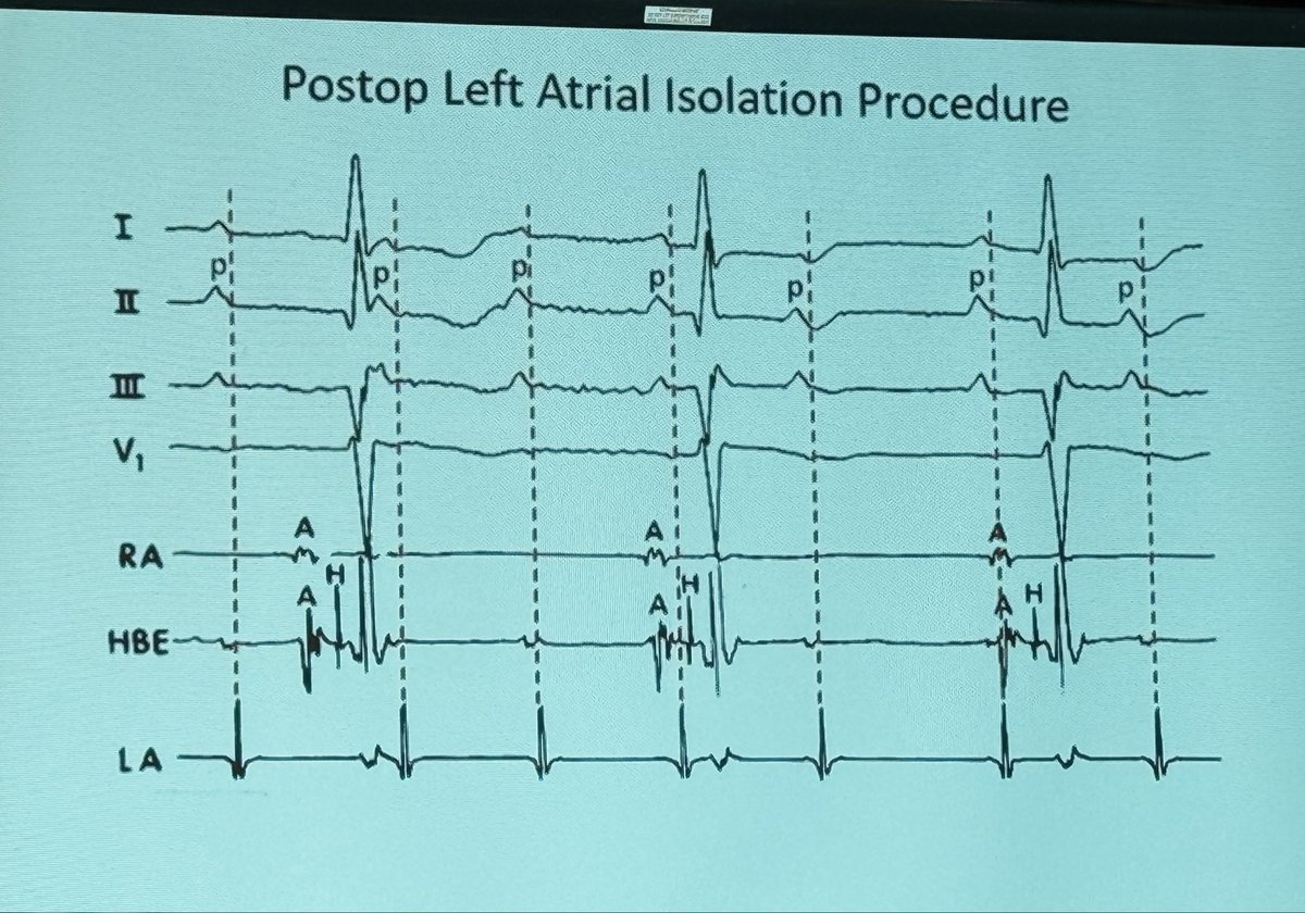 Prash Sanders tweet media