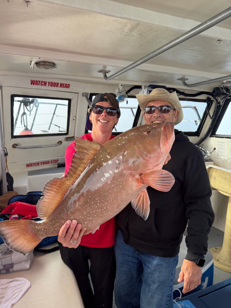 hubbardsmarina's tweet photo. 🎣 BIG FISH OFFSHORE IN MADEIRA BEACH – RED GROUPER, MANGROVE SNAPPER & MORE
When the weather opens up… the Gulf shows off.
Offshore waters out of John's Pass Village have been producing quality red grouper, mangrove snapper, and solid mixed bag action.
#deepseafishing #offsho https://t.co/EfyW4d1fdT