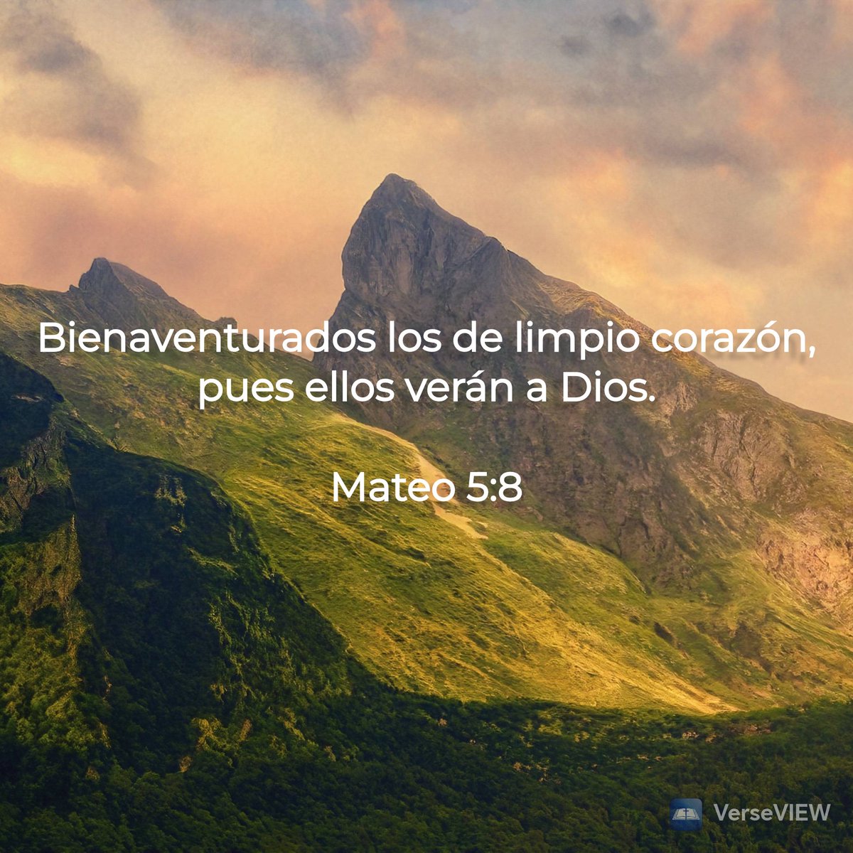 Señor no permitas que mi corazón, ni el de mis hermanos en la fe se ensucie con el pecado, no permitas que cedamos ante la tentación, ayúdanos a velar y cuidar la comunión contigo, a alimentar él Espíritu, con todas las armas que tú nos has provisto, para vivir contigo 🙌🏼🔥