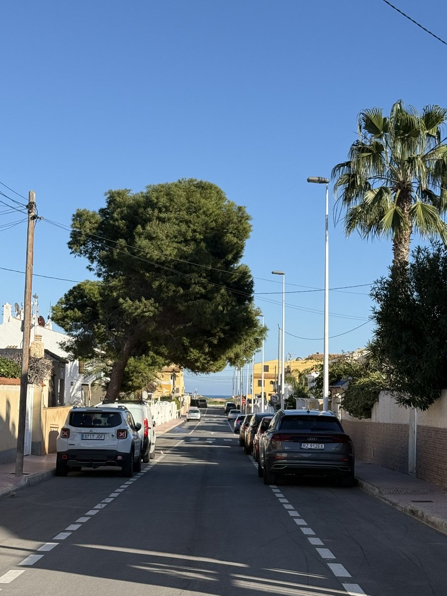 ANDREW 🇵🇱 tweet media