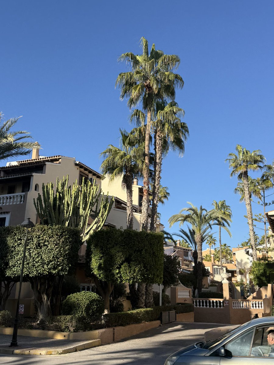 ANDREW 🇵🇱 tweet media