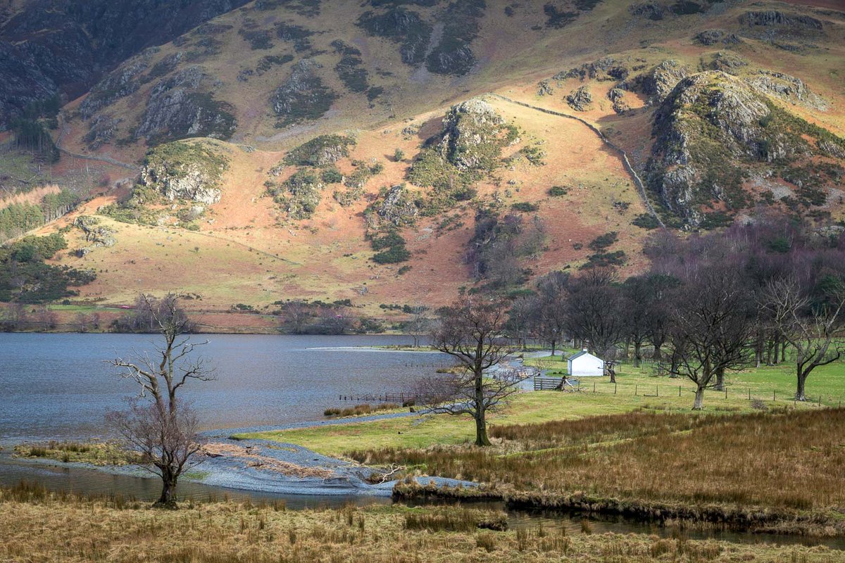 Andrew Locking tweet media