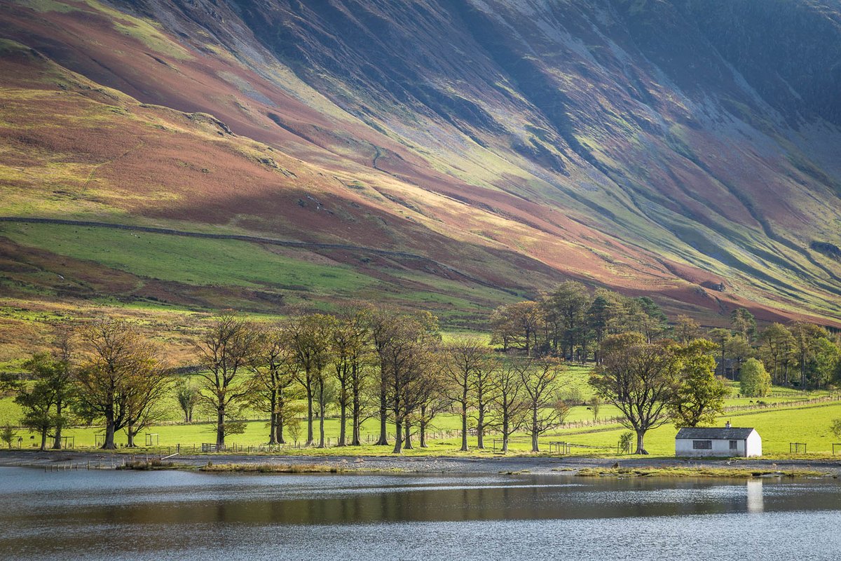 Andrew Locking tweet media