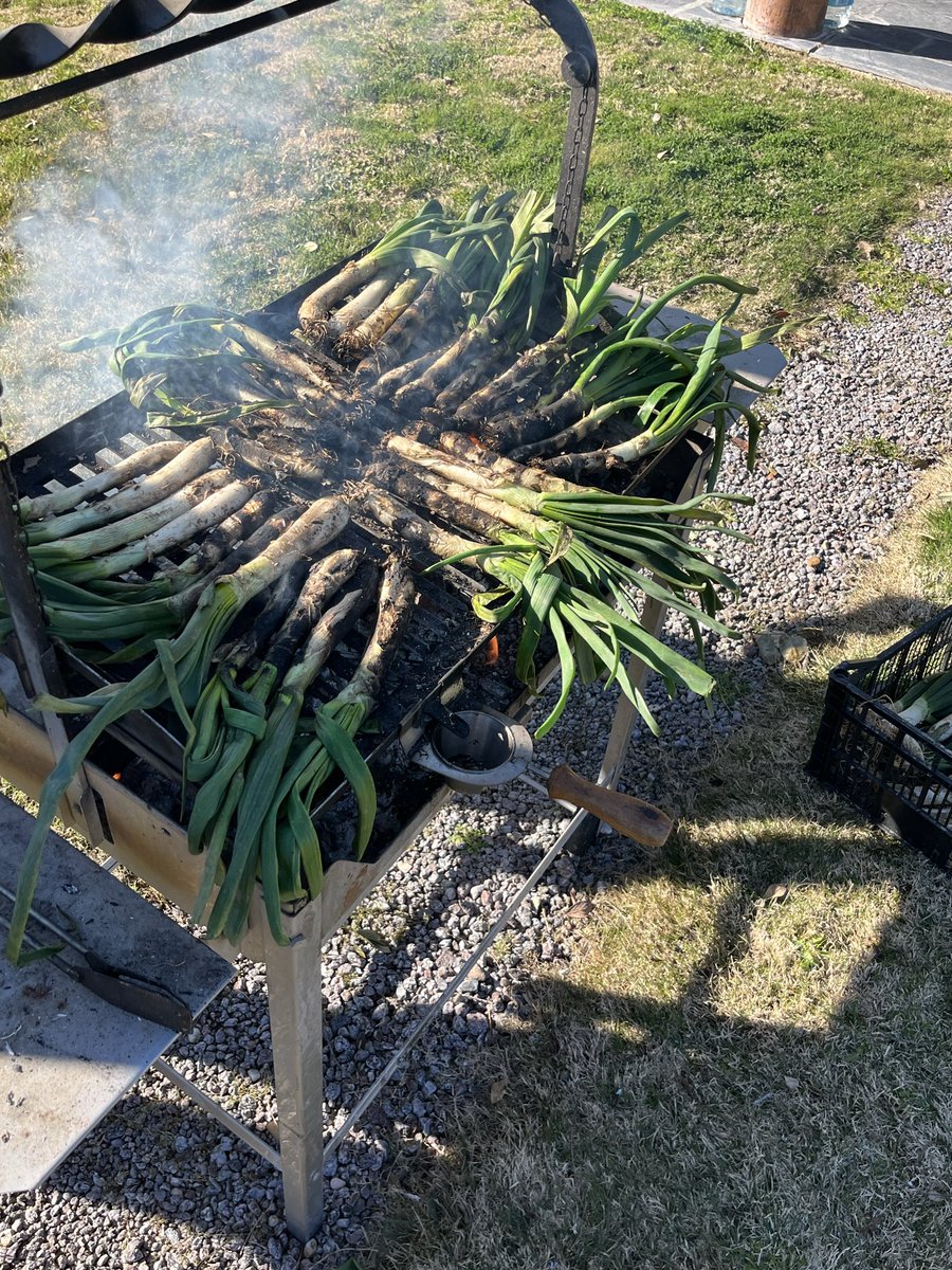 GerardoRB95's tweet photo. Rutita, calçots y Urko 🔋 https://t.co/G06tgFrH07